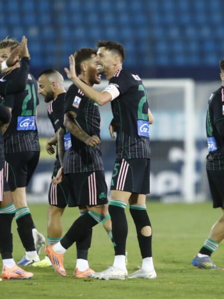 MATCH ISSUED OR WORN SHIRT PALMER BROWN PANATHINAIKOS F.C SEASON 2025/26 SUPER LEAGUE