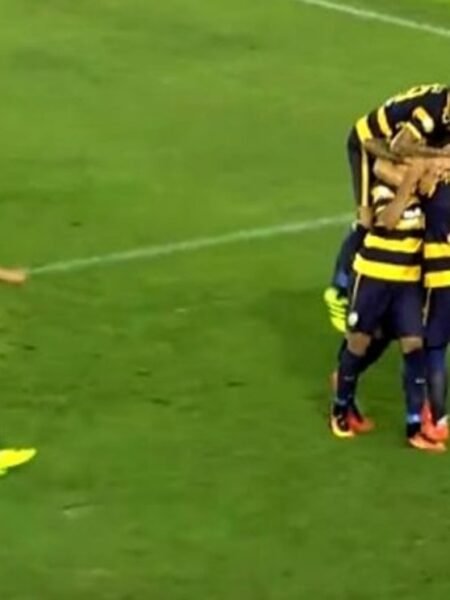 NICOLO CHERUBIN - HELLAS VERONA – MATCH WORN JERSEY - SERIE B - SEASON 2016/2017