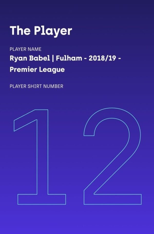 RYAN BABEL – FULHAM – MATCH WORN AND SIGNED – SEASON 2018/2019 - Image 4